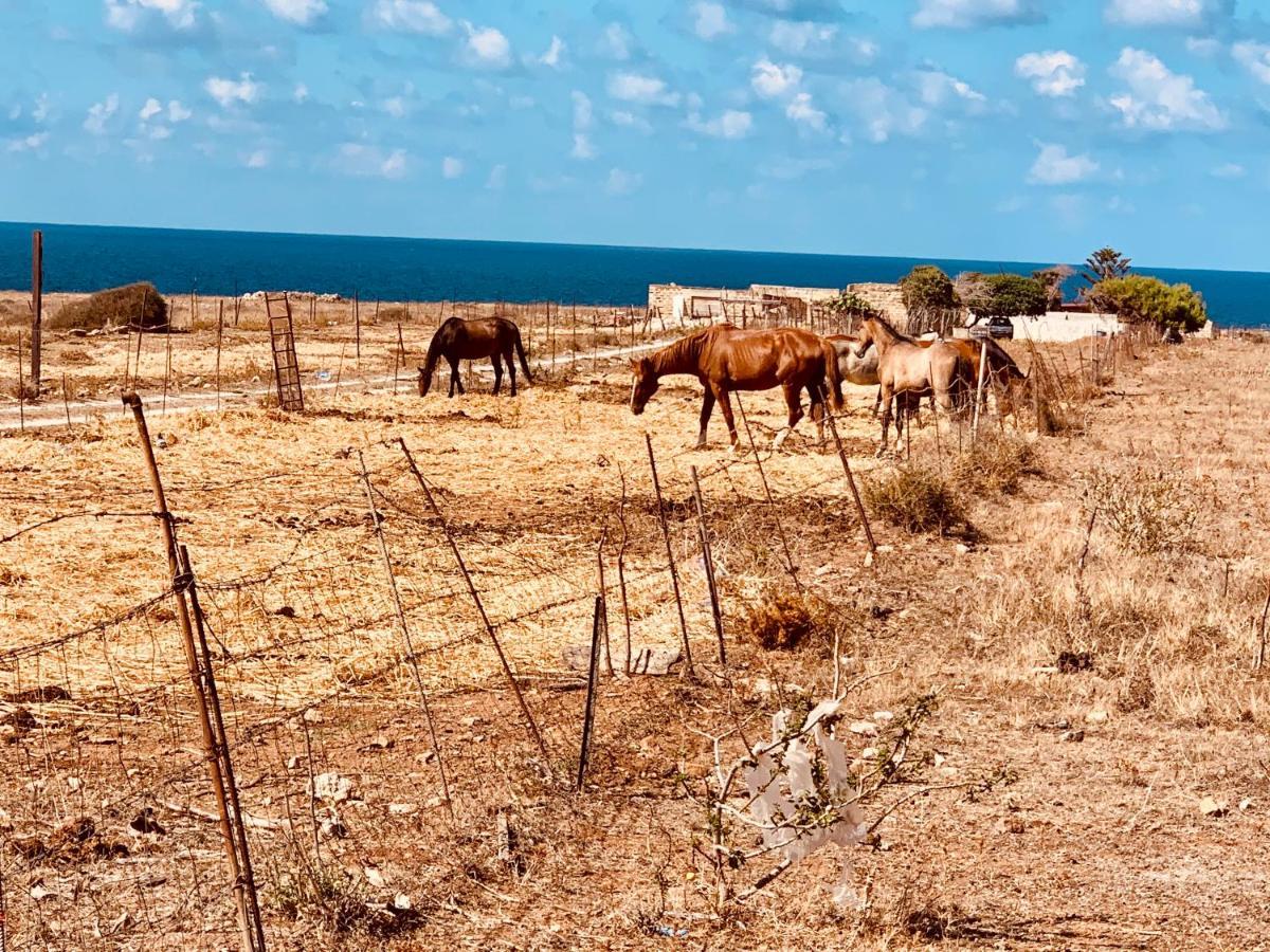 Appartamento Il Pomodoro San Vito Lo Capo Buitenkant foto