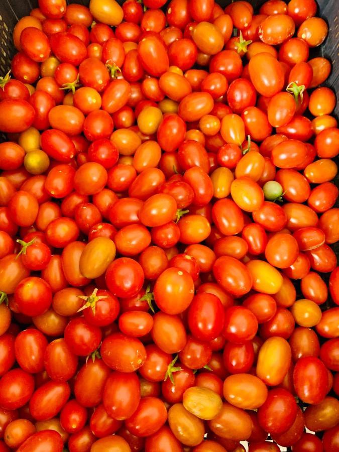 Appartamento Il Pomodoro San Vito Lo Capo Buitenkant foto